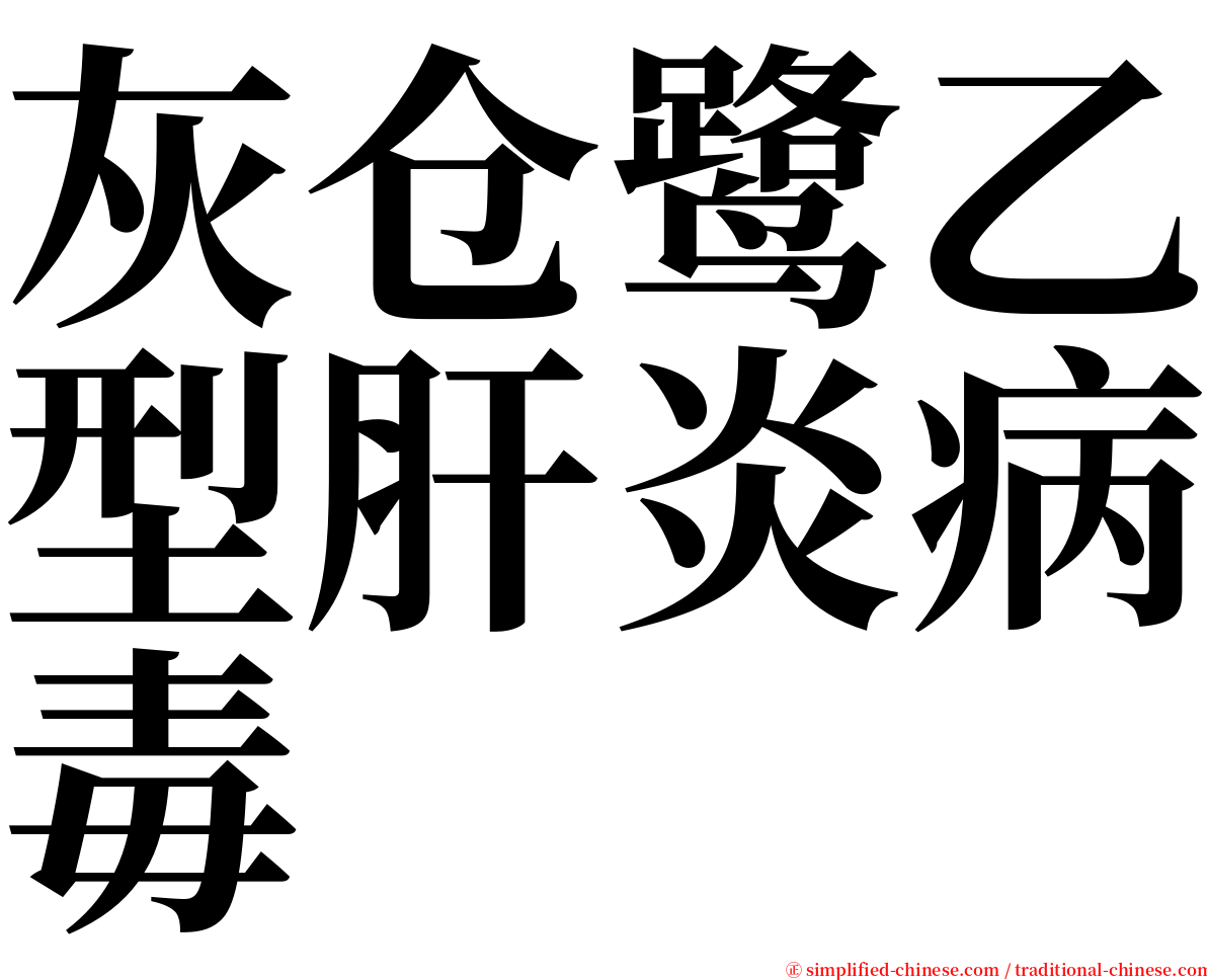 灰仓鹭乙型肝炎病毒 serif font