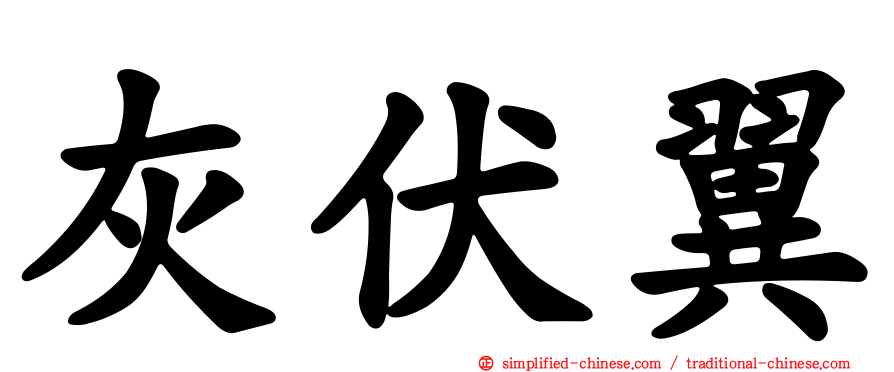 灰伏翼