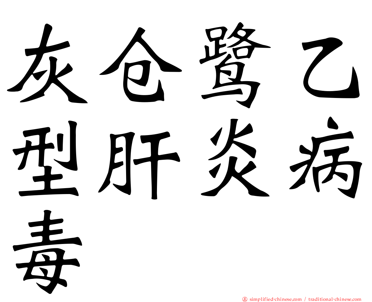 灰仓鹭乙型肝炎病毒