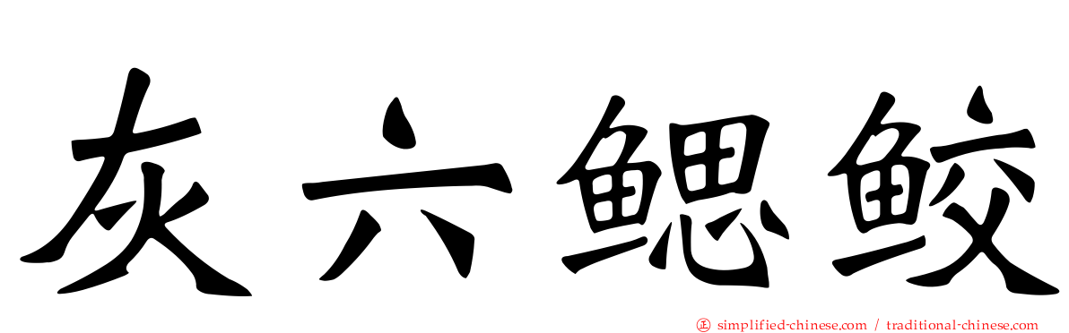 灰六鳃鲛