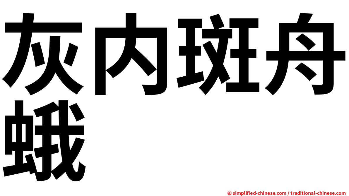 灰内斑舟蛾