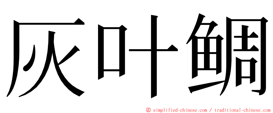 灰叶鲷 ming font
