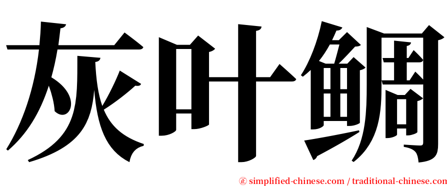 灰叶鲷 serif font