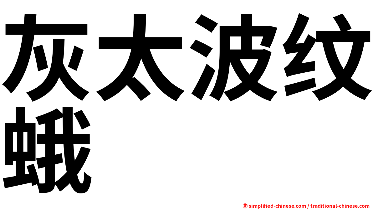 灰太波纹蛾