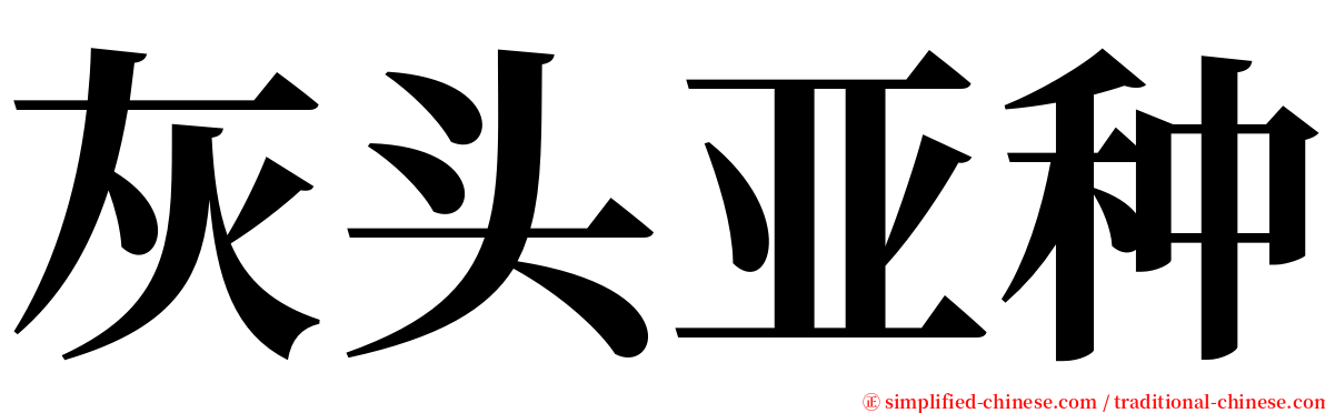 灰头亚种 serif font