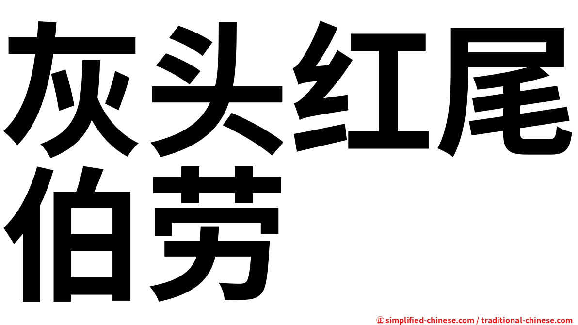 灰头红尾伯劳