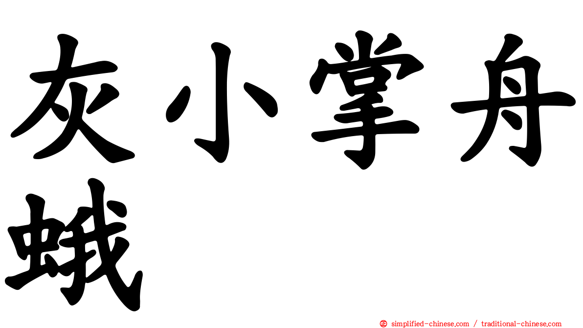 灰小掌舟蛾