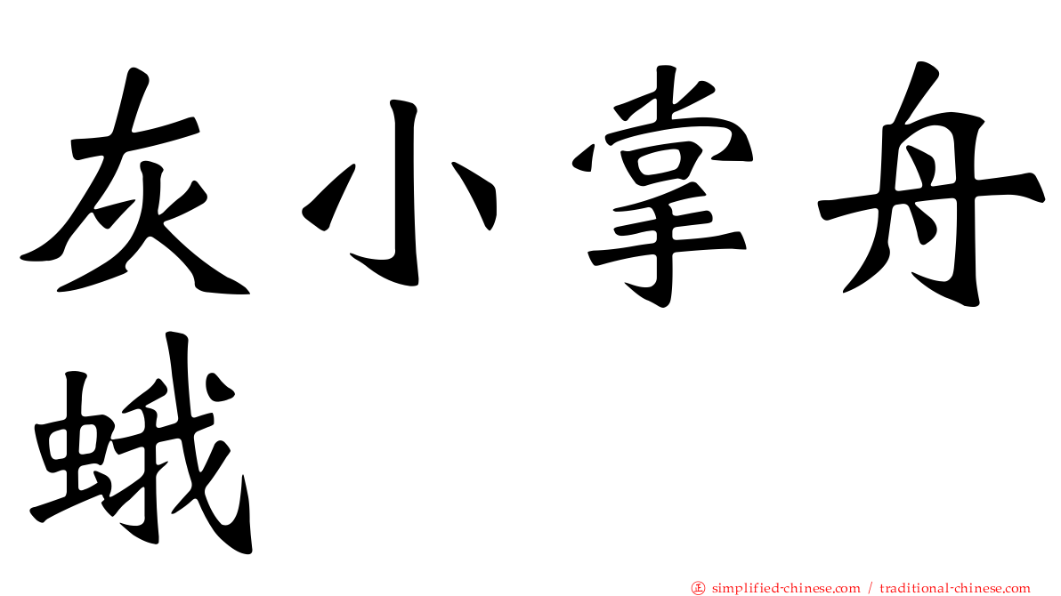 灰小掌舟蛾