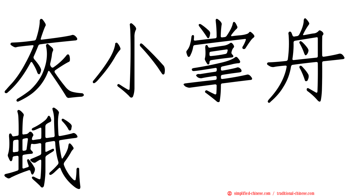 灰小掌舟蛾