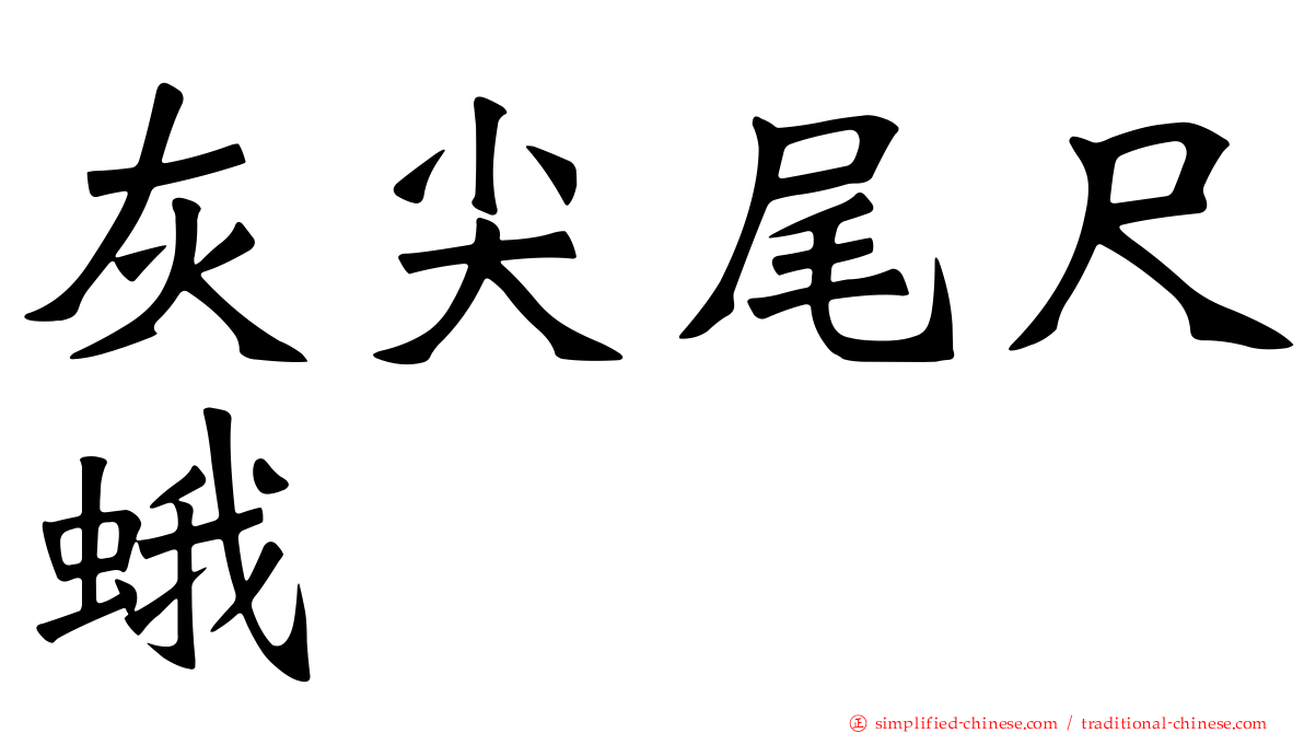 灰尖尾尺蛾