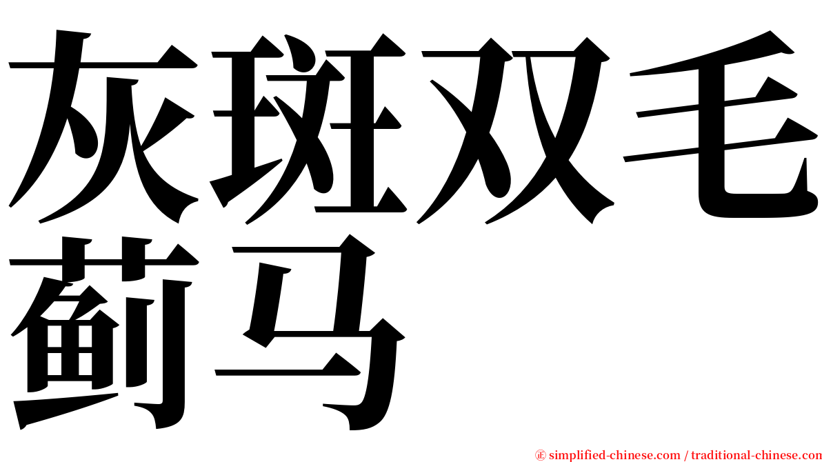 灰斑双毛蓟马 serif font