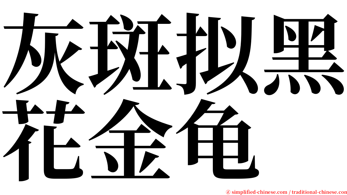 灰斑拟黑花金龟 serif font