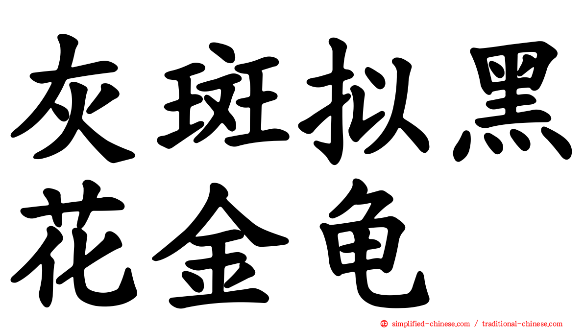 灰斑拟黑花金龟