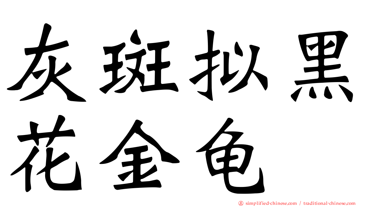 灰斑拟黑花金龟