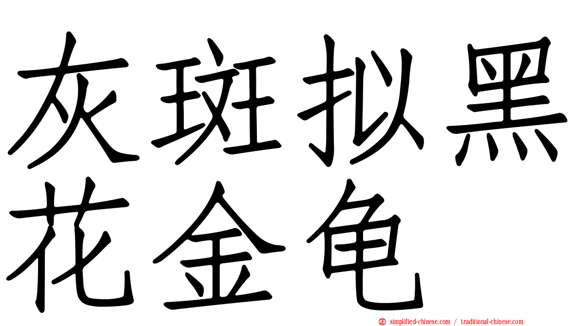 灰斑拟黑花金龟