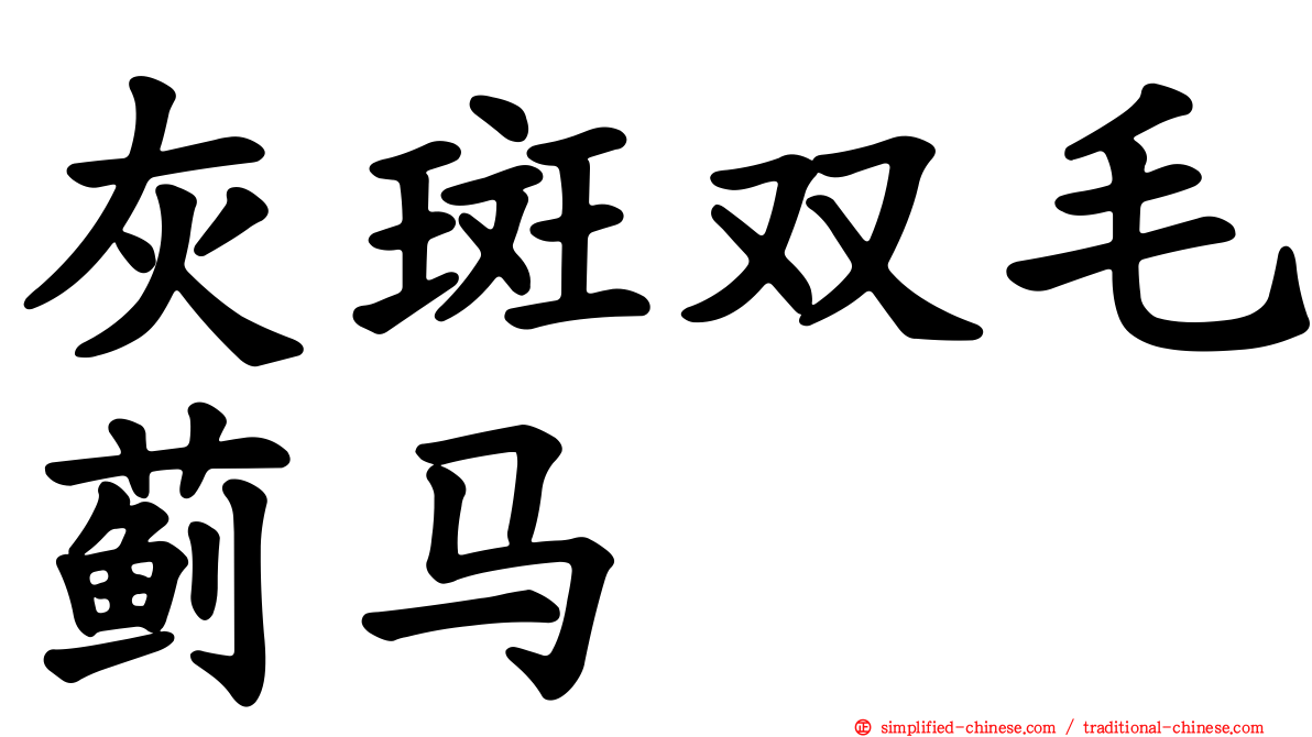 灰斑双毛蓟马
