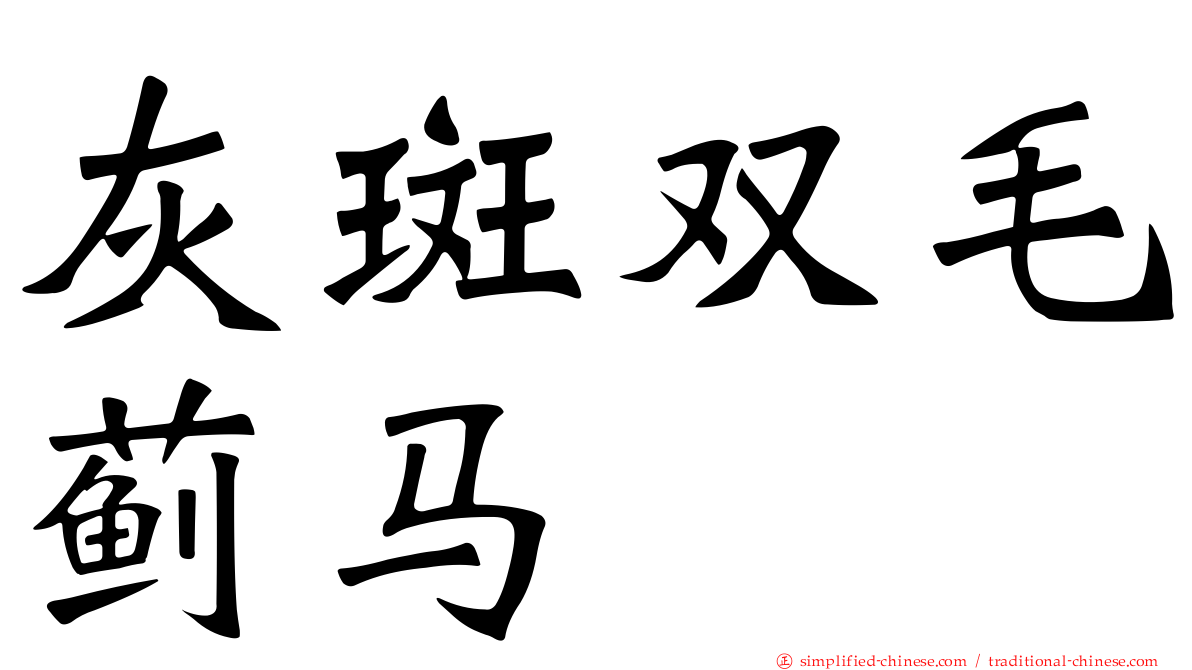 灰斑双毛蓟马