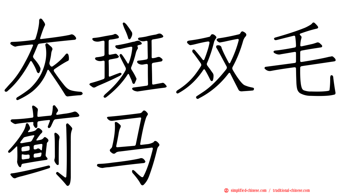 灰斑双毛蓟马
