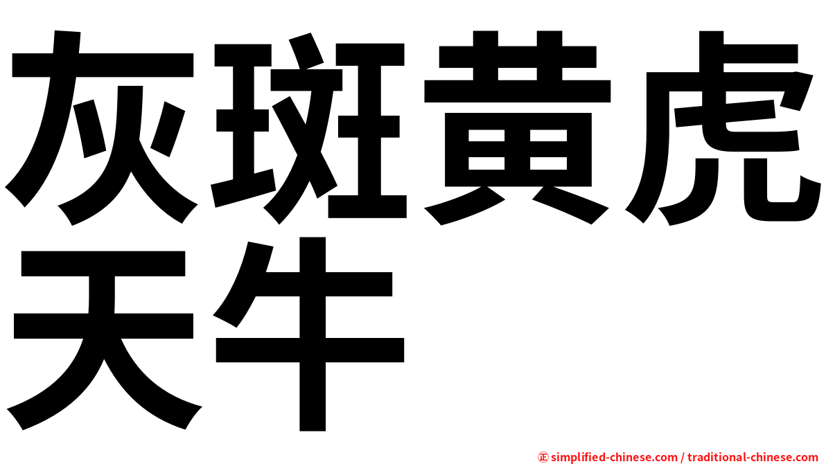 灰斑黄虎天牛