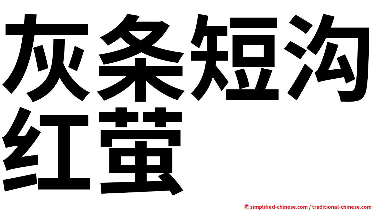 灰条短沟红萤