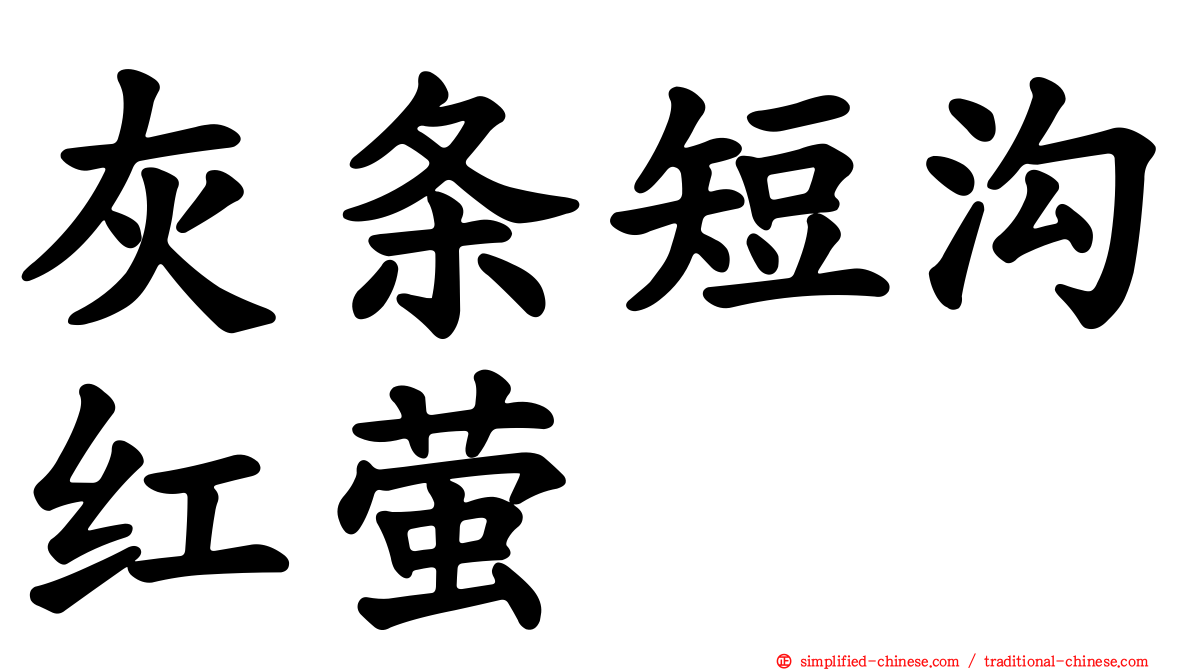 灰条短沟红萤