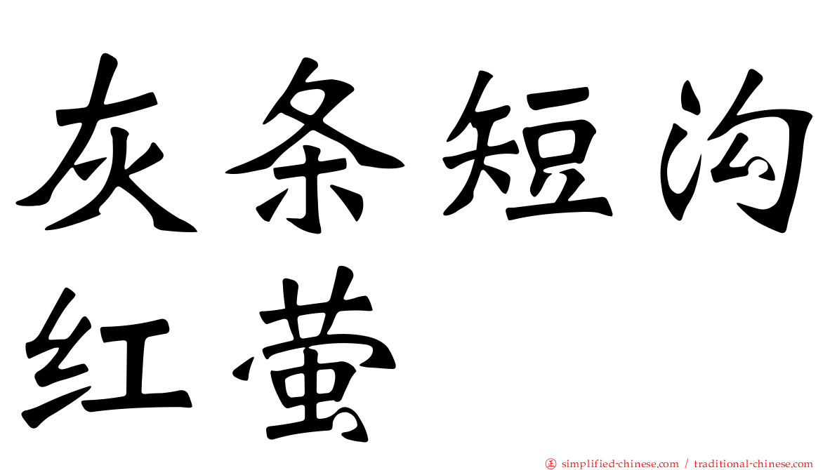 灰条短沟红萤