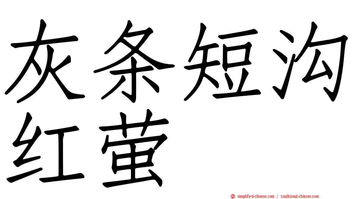 灰条短沟红萤