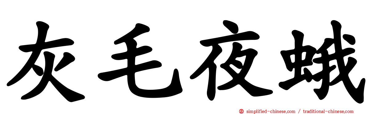 灰毛夜蛾