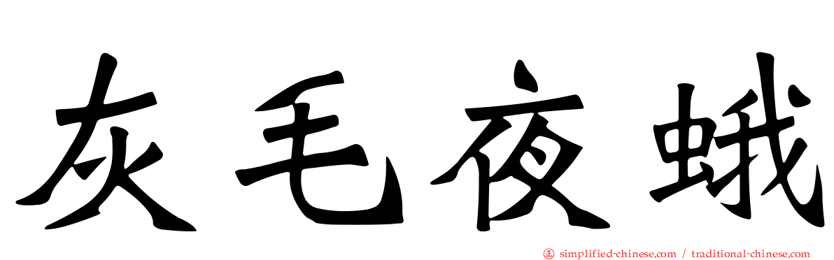 灰毛夜蛾