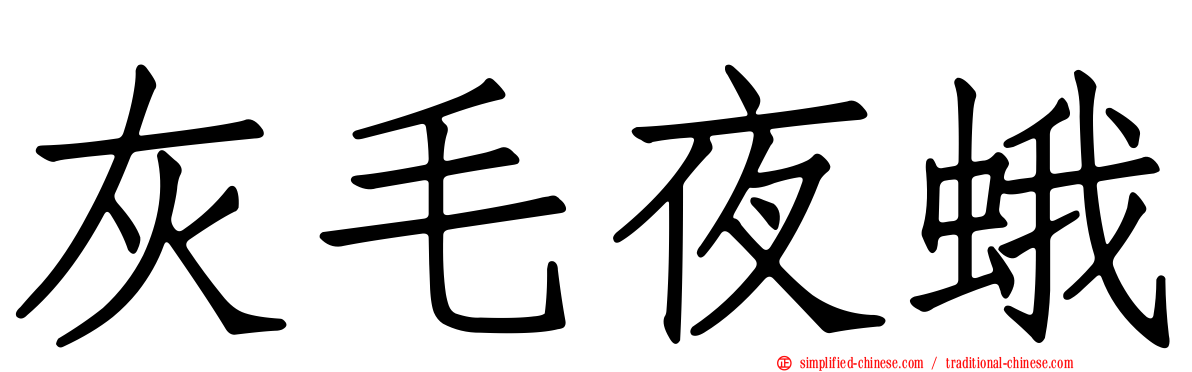 灰毛夜蛾