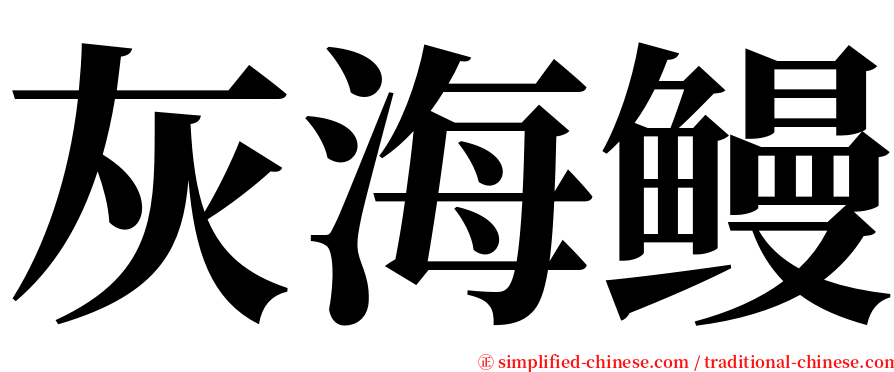 灰海鳗 serif font