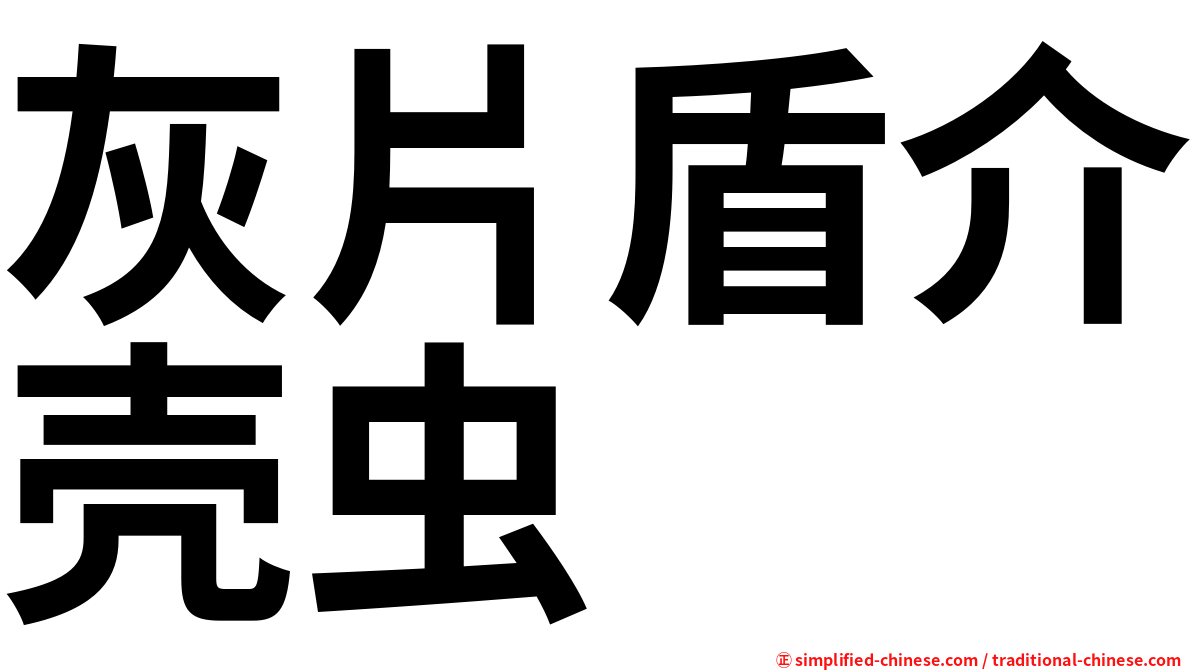 灰片盾介壳虫