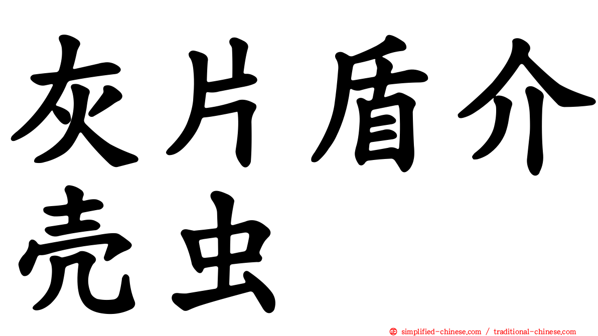 灰片盾介壳虫