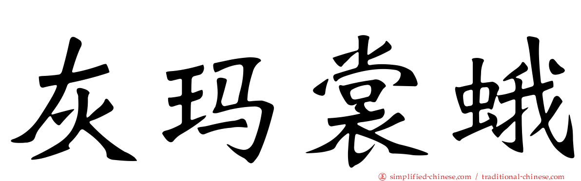 灰玛裳蛾