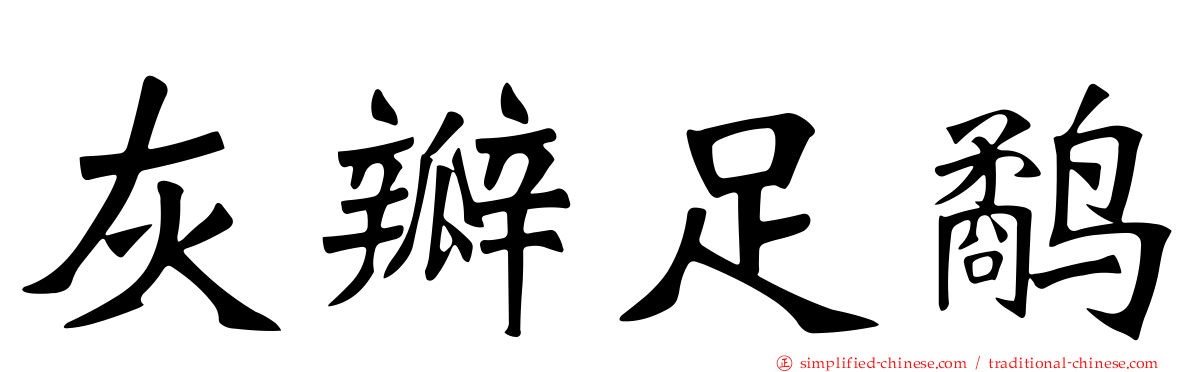 灰瓣足鹬