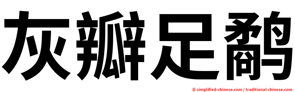 灰瓣足鹬