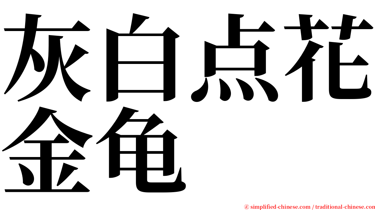 灰白点花金龟 serif font