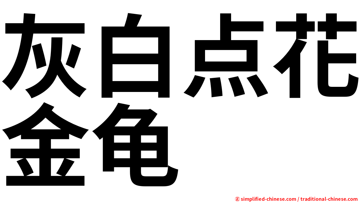 灰白点花金龟
