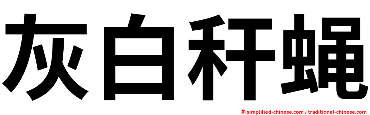 灰白秆蝇