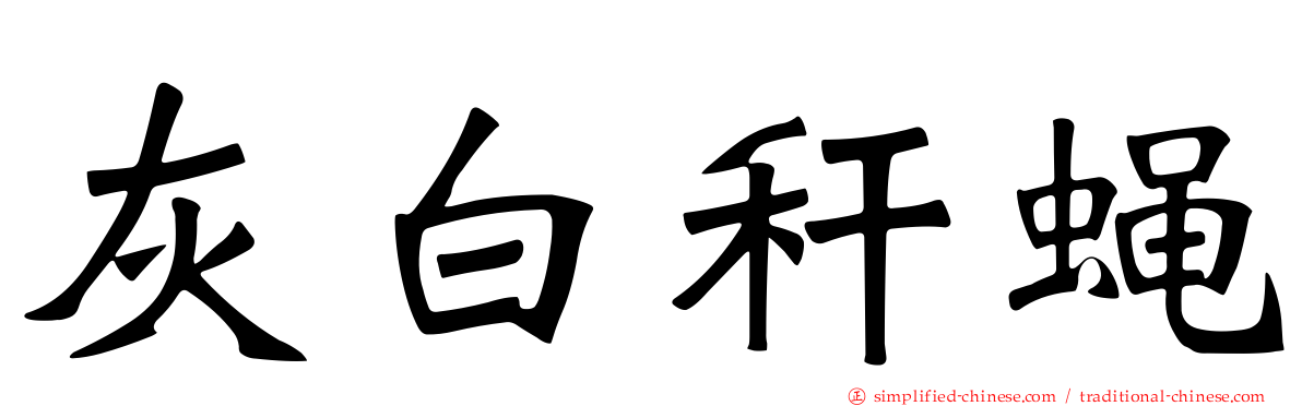 灰白秆蝇