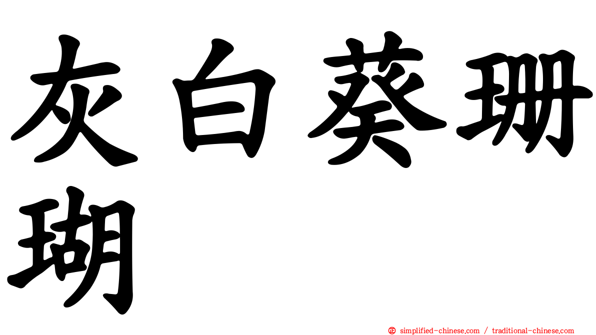 灰白葵珊瑚