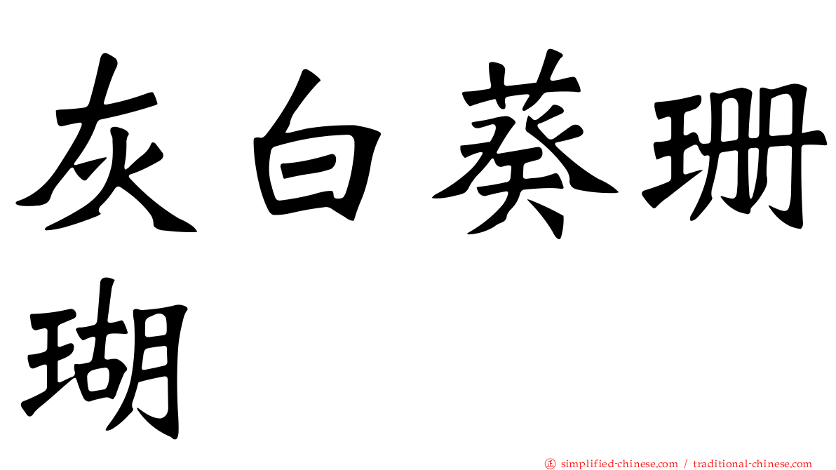 灰白葵珊瑚
