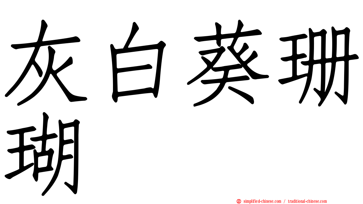 灰白葵珊瑚