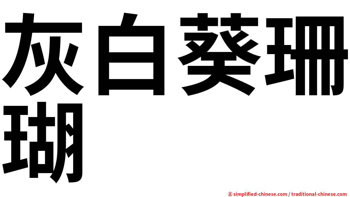 灰白葵珊瑚