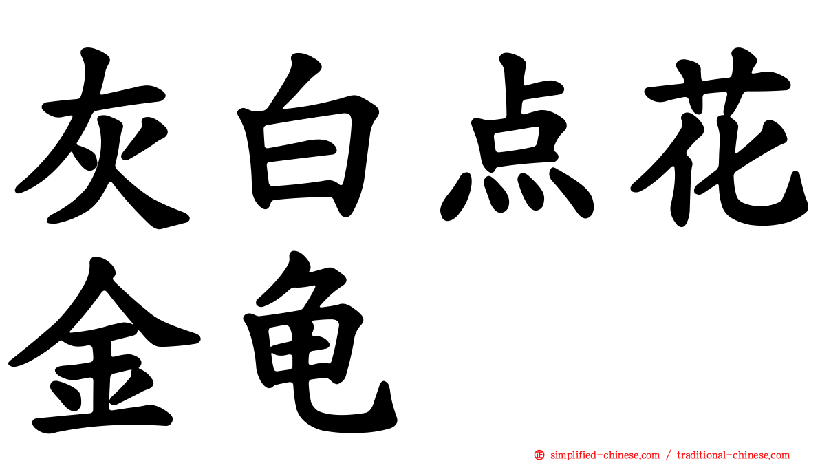 灰白点花金龟
