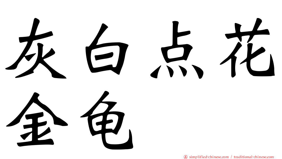 灰白点花金龟