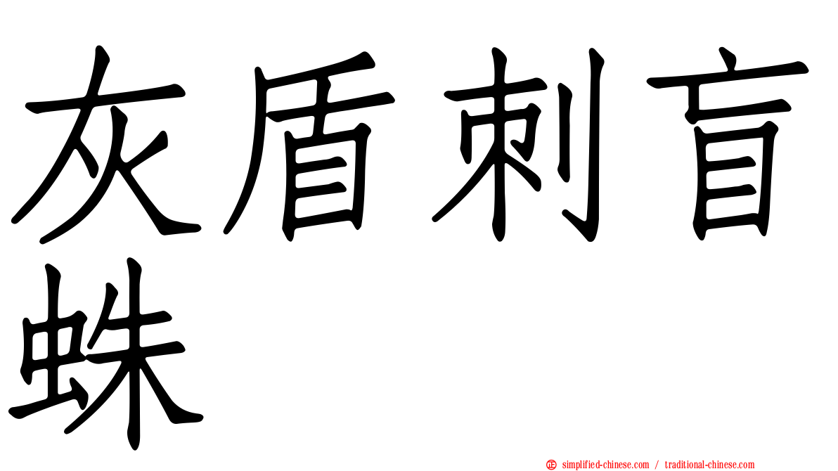 灰盾刺盲蛛