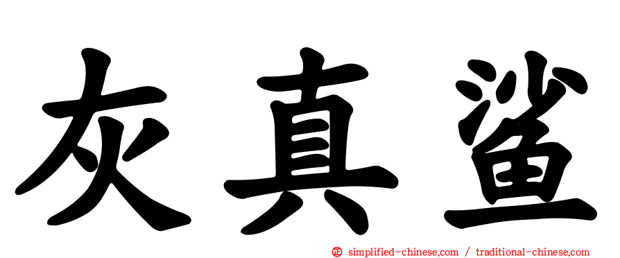 灰真鲨