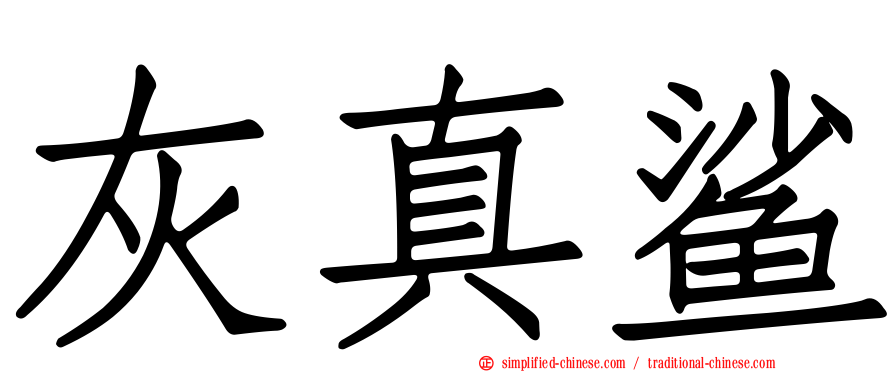 灰真鲨