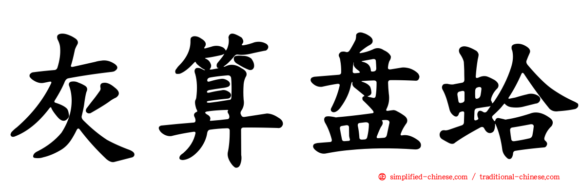 灰算盘蛤